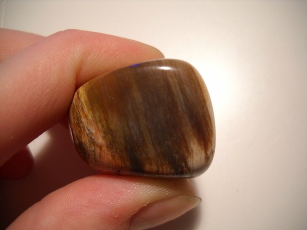Энергия камней № 49 Древесный опал (окатанный камень) фото, обсуждение